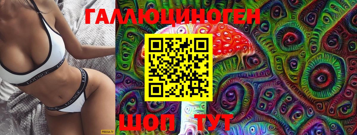Псилоцибиновые грибы Psilocybine cubensis Подольск