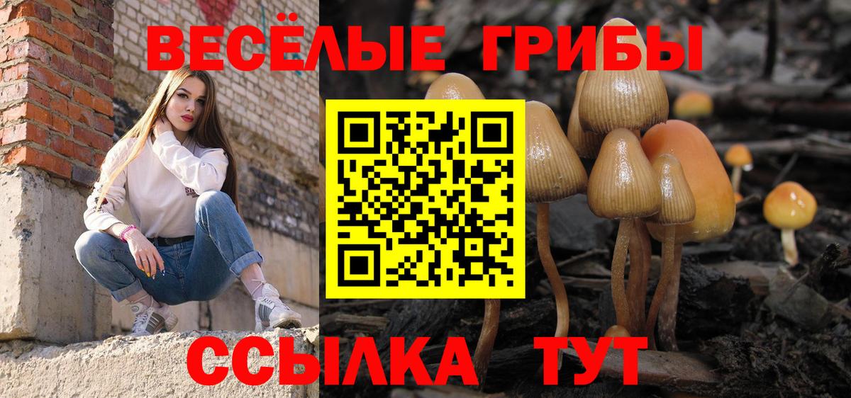 Подольск  Псилоцибиновые грибы Magic Shrooms  Вход с VPN 